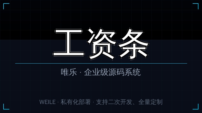 唯乐 工资条