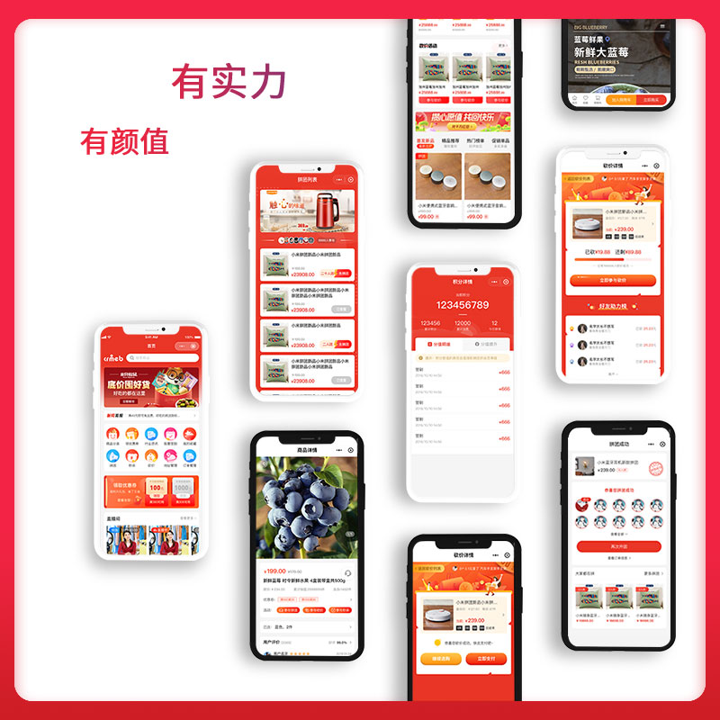 演示图片